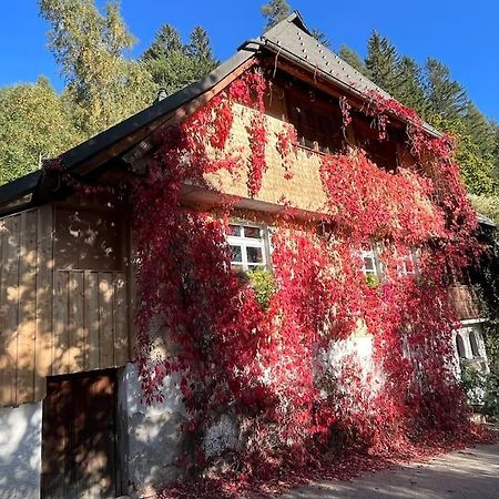 Auszeit Am Kreisbach Appartement Triberg im Schwarzwald Buitenkant foto